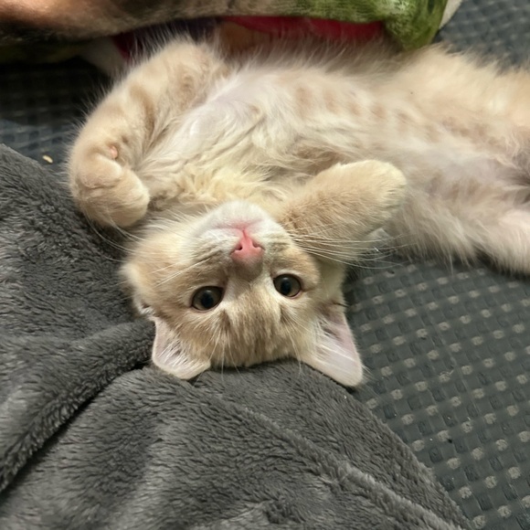 chloeluvsyouu